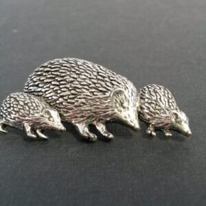 Pin egel met jong