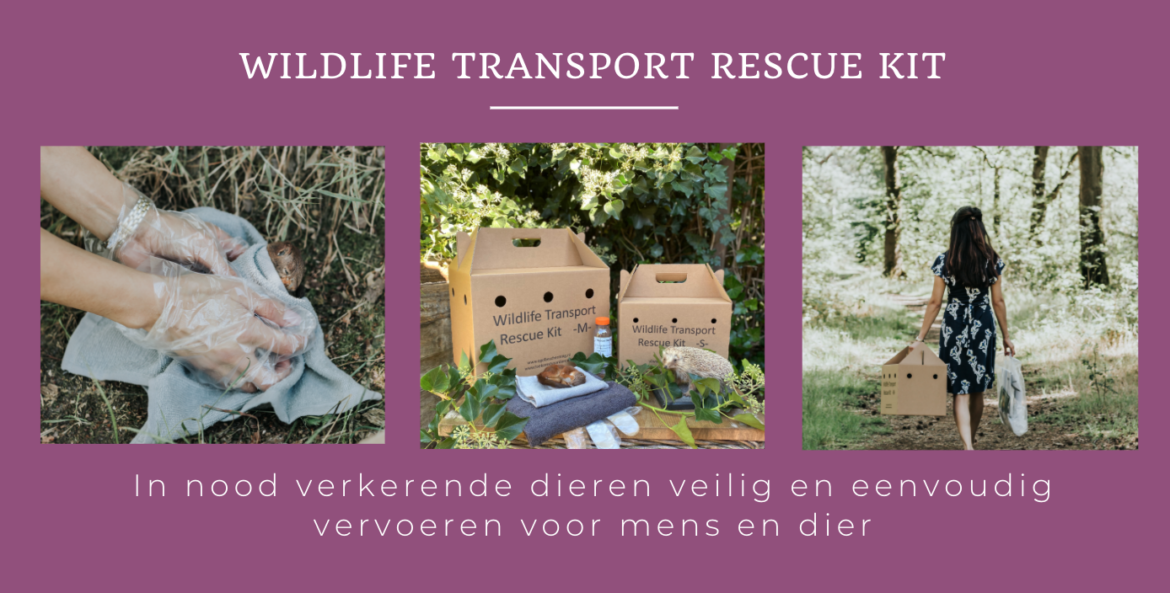 Sneak Preview: Overhandiging eerste Wildlife Transport Rescue Kit aan Hilde van Garderen, wethouder van Almere